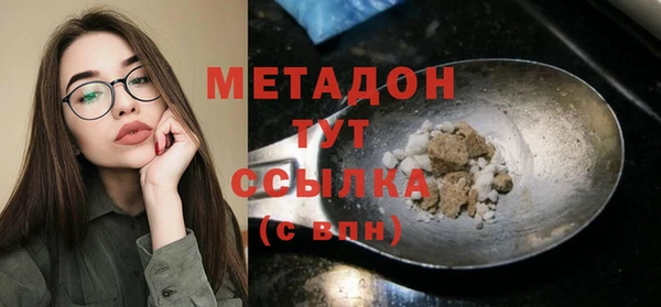 гидра Инта