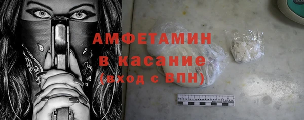 гидра Инта