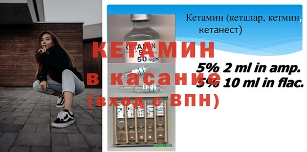гидра Инта