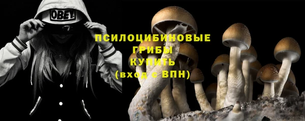 гидра Инта