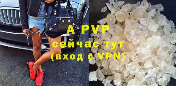 ALPHA PVP Иннополис