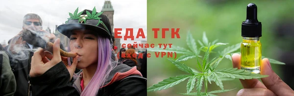 гидра Инта