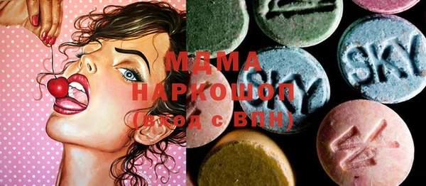 гидра Инта