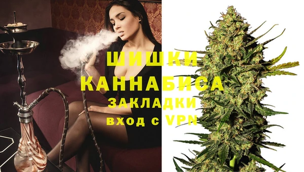 гидра Инта