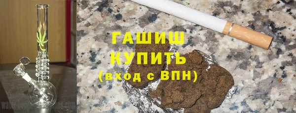 гидра Инта