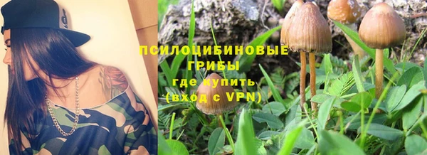 трава Инсар