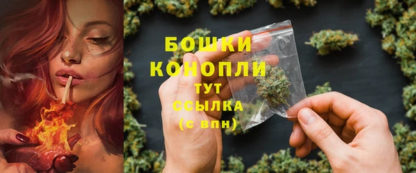 трава Инсар