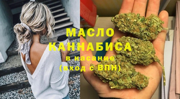 гидра Инта