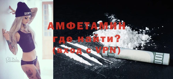 гидра Инта