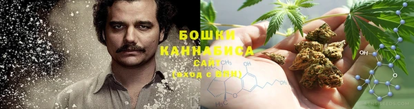 гидра Инта