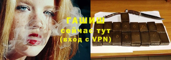 гидра Инта
