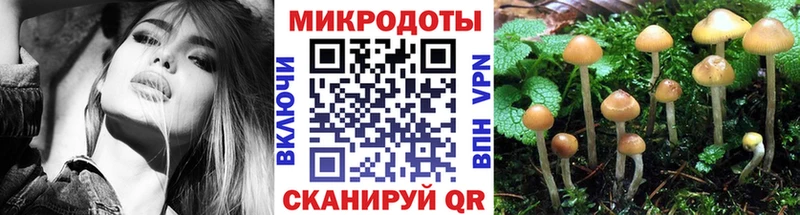 Псилоцибиновые грибы мухоморы  продажа наркотиков  Ачинск 