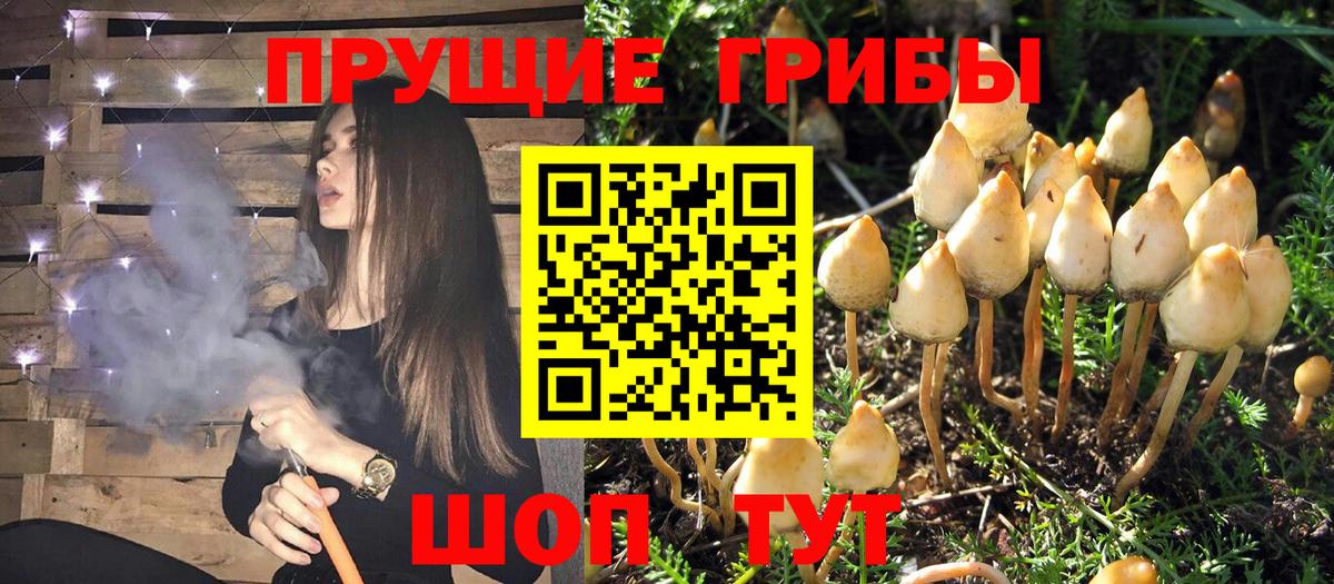 Галлюциногенные грибы прущие грибы  Вход с VPN  Галлюциногенные грибы Magic Shrooms  Ачинск 