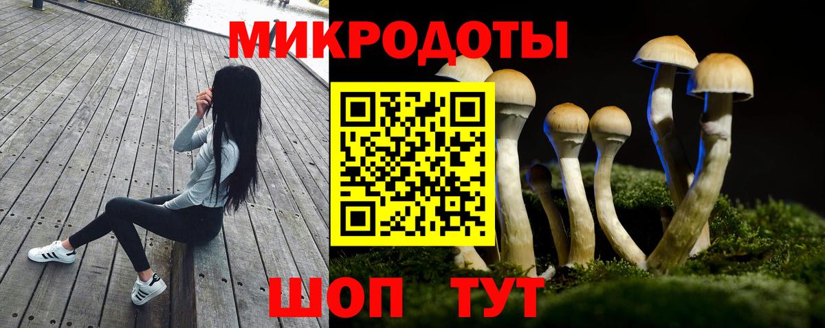 Галлюциногенные грибы MAGIC MUSHROOMS  Псилоцибиновые грибы мицелий  Ачинск 