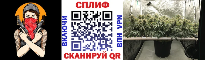 Каннабис VHQ  где найти   Ачинск 