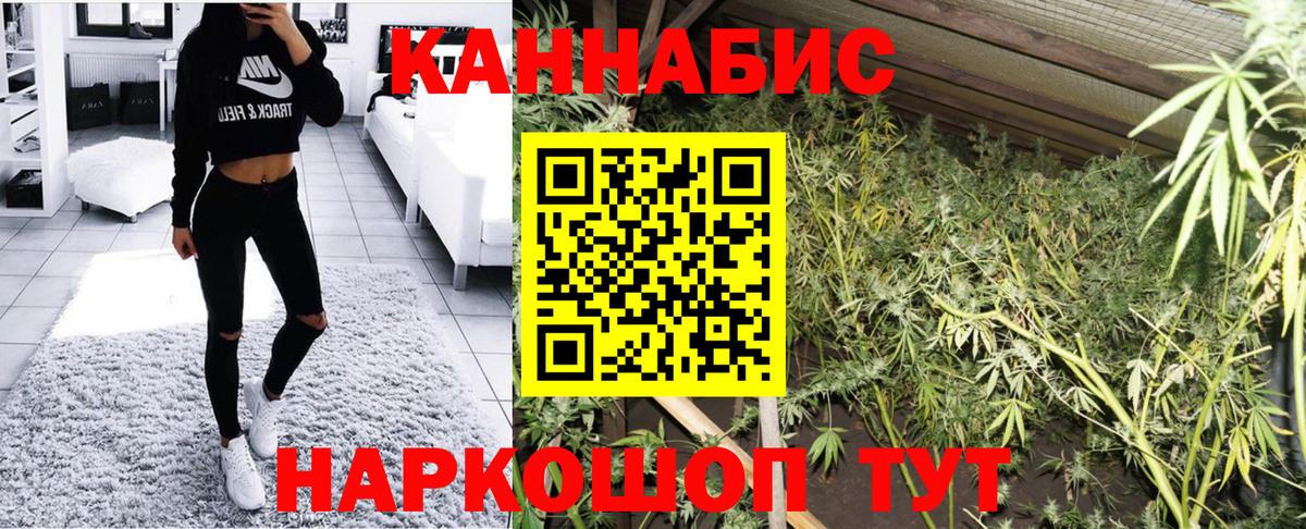 Канабис ГИДРОПОН  Бошки марихуана OG Kush  Ачинск  Бошки Шишки планчик  Шишки марихуана план 